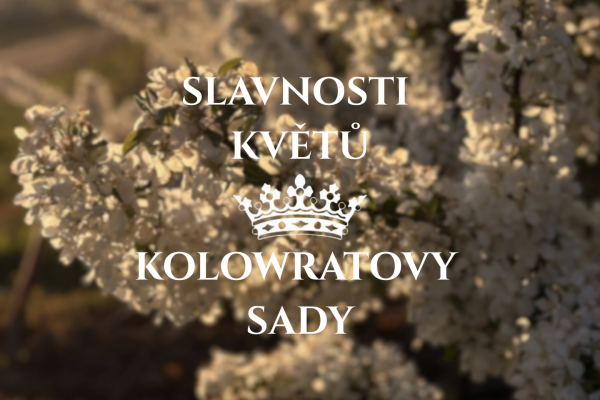 Slavnosti květů web